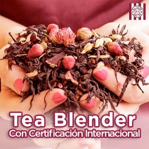 Certificación Internacional de Tea Blender